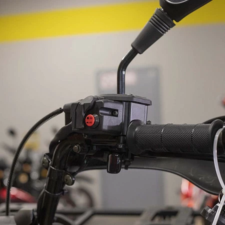 Квадрицикл BALTMOTORS BM500 EFI (камуфляж)
